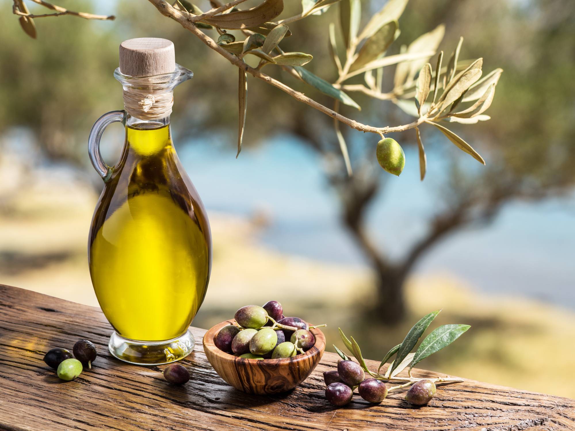 Les recettes méditerranéennes qui sentent l'huile d'olive